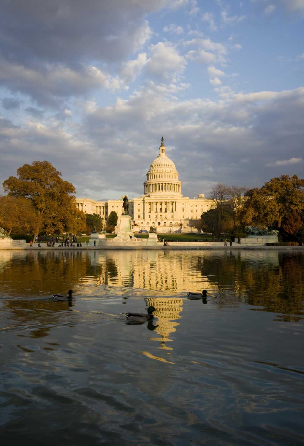Capitol building, Washington D.C. 91632044