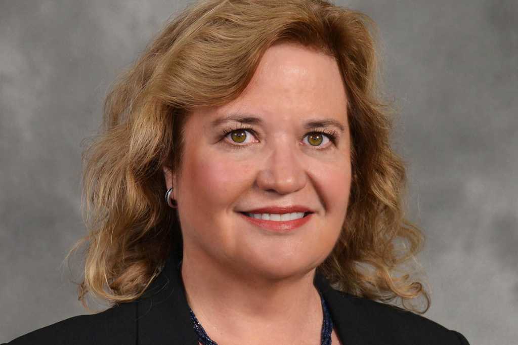 Diane Schwarz, CIO, Johnson Controls