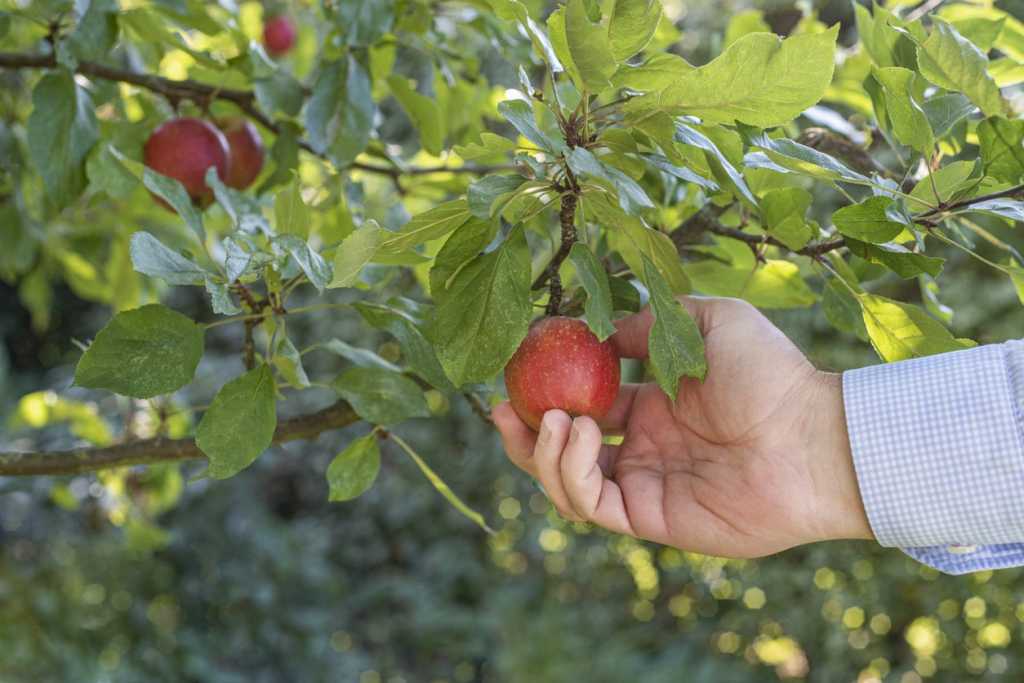 istock 1176612520